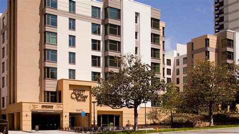 belmont village senior living westwood.